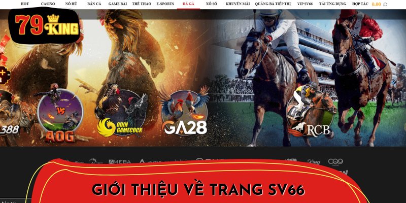 Tổng quan về nhà cái SV66